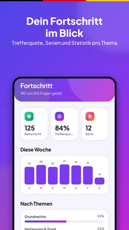 Progress statistics by topic